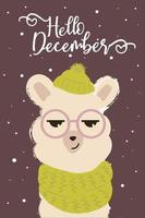 Holiday card with cute cartoon llama and  slogan. Alpaca wearing knitted hat and scarf with snowflakes back. Vector, isolated. Hello December. Hand drawn illustration vector