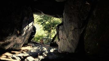 toma tomada desde el interior de una pequeña cueva mirando hacia afuera video