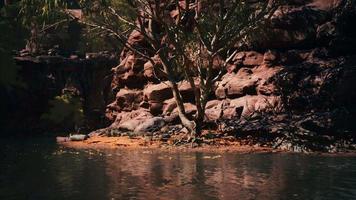 Lake Powell op een zonnige dag in de zomer video