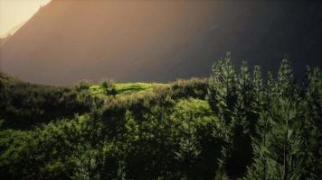 autumn morning with fog in mountains video