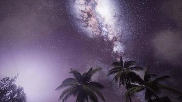 astro av Vintergatan galaxen över tropisk regnskog. video