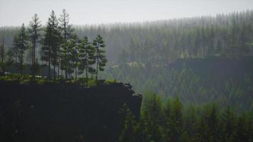 paisaje de bosque de montaña brumoso en la mañana video