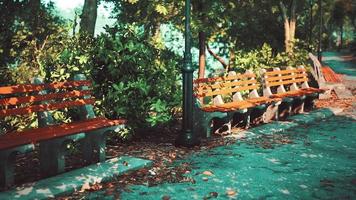 les sentiers et les bancs sont vides dans le parc pendant la pandémie de covid-19 video