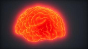 animazione del cervello umano rotante in loop video
