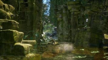 ruined ancient stone house overgrown with plants and ferns in dense green forest video