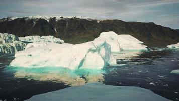 antarctisch ijsberglandschap met gletsjer die de oceaan in loopt video