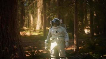 ensam astronaut i mörk skog video