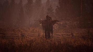 terrible scarecrow in dark cloak and dirty hat stands alone in autumn field video