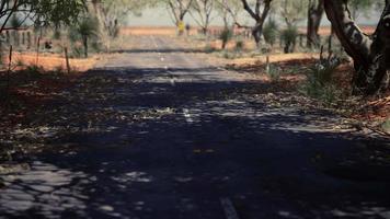 strada dell'entroterra con erba secca e alberi video