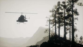 Flughubschrauber in extremer Zeitlupe in der Nähe des Bergwaldes video