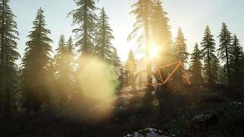 Bicycle in Mountain Forest video