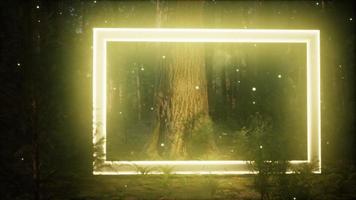 cadre rectangle lumineux au néon dans la forêt de nuit video