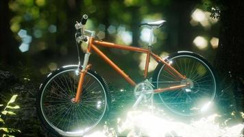 bicicleta de montanha no caminho da floresta video