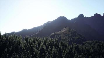 vidvinkelbild av bergslandskap med vårskog video