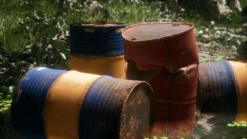 Rusty barrels in green forest video