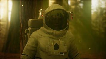 astronauta solitario en el bosque oscuro video