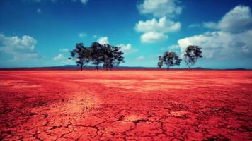 gebarsten grond droog land tijdens het droge seizoen video