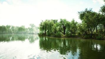 lagoa de 8k do parque central da cidade em dia de verão