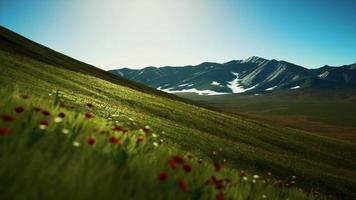 panoramisch uitzicht op alpine berglandschap in de alpen video
