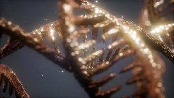 double helical structure of dna strand close-up animation video