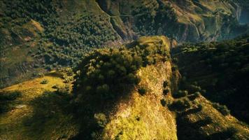 floresta tropical em vista matinal das terras altas da malásia video