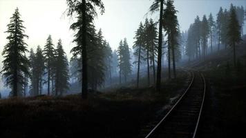 zone de loisirs forestière nationale et le brouillard avec chemin de fer video