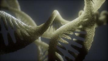 estrutura helicoidal dupla de loop de animação de close-up de fita de dna video