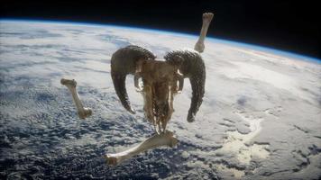 rams skull with bones at Earth orbit video