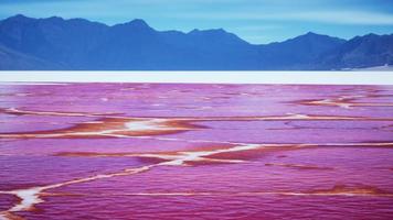 Beautiful view of pink lake on summer day video