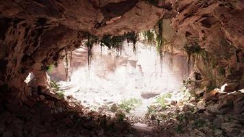 inne i en kalkstensgrotta med växter och solsken video