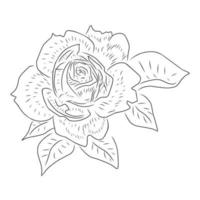 Line style flower illustration vector