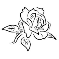 ilustración de flor de estilo de línea vector