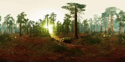 VR360 in Sequoia National Park video