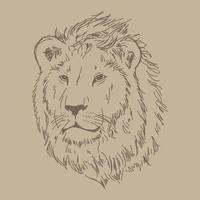 Lion head vector hand drawn illustration