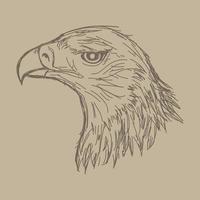 Hand drawn eagle head sketch vector illustration