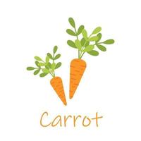 Fresh orange carrot with green leaves, health food, vector icon