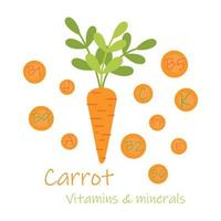 Fresh orange carrot with green leaves, health food, vector icon. Vitamins and minerals. Health benefits of carrot.