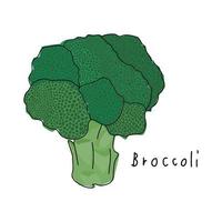 Broccoli on a white background. Hand drawn vegetable vector. Cartoon vegetables. Vector illustration. Wrapping paper pattern.