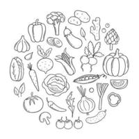 Hand drawn set of vegetables doodle. Carrot, radish, salad, cucumber, cabbage in sketch style.  Vector illustration isolated on white background.