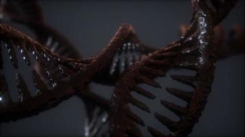 lus dubbele spiraalvormige structuur van dna streng close-up animatie video