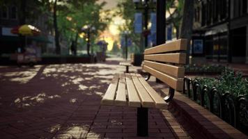 quiet city park with trees and benches video