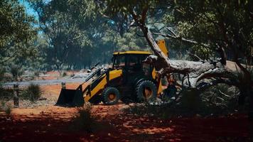 tracteur excavatrice dans la forêt de brousse video