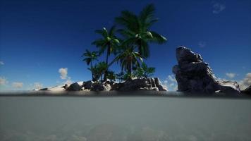 braunes schlammiges Wasser und Palmen auf der Insel video