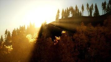 coucher de soleil lumineux dans les montagnes avec forêt video