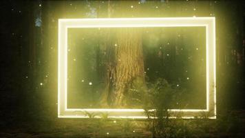 Neon glowing rectangle frame in the night forest video