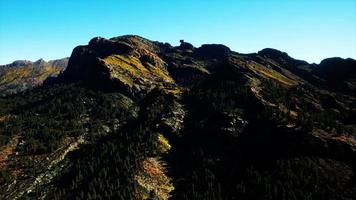 panorama de la forêt de cônes à la montagne video