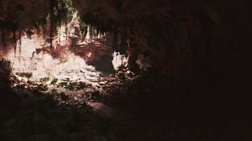 der Blick in die Feenhöhle, die mit selbstleuchtenden grünen Pflanzen bedeckt ist video