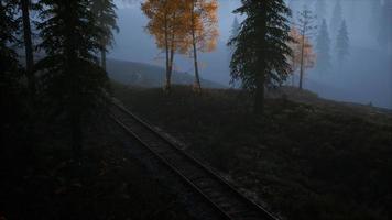 zone de loisirs forestière nationale et le brouillard avec chemin de fer video