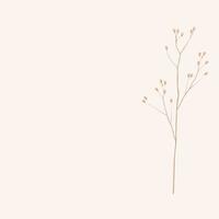 A branch of a meadow flower is a vector stock illustration.