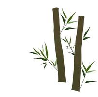 Bamboo vector stock illustration. Young stems and shoots with green leaves of a tropical tree. For spa and cosmetics labels. Wood of a herbaceous Chinese plant. Isolated on a white background.